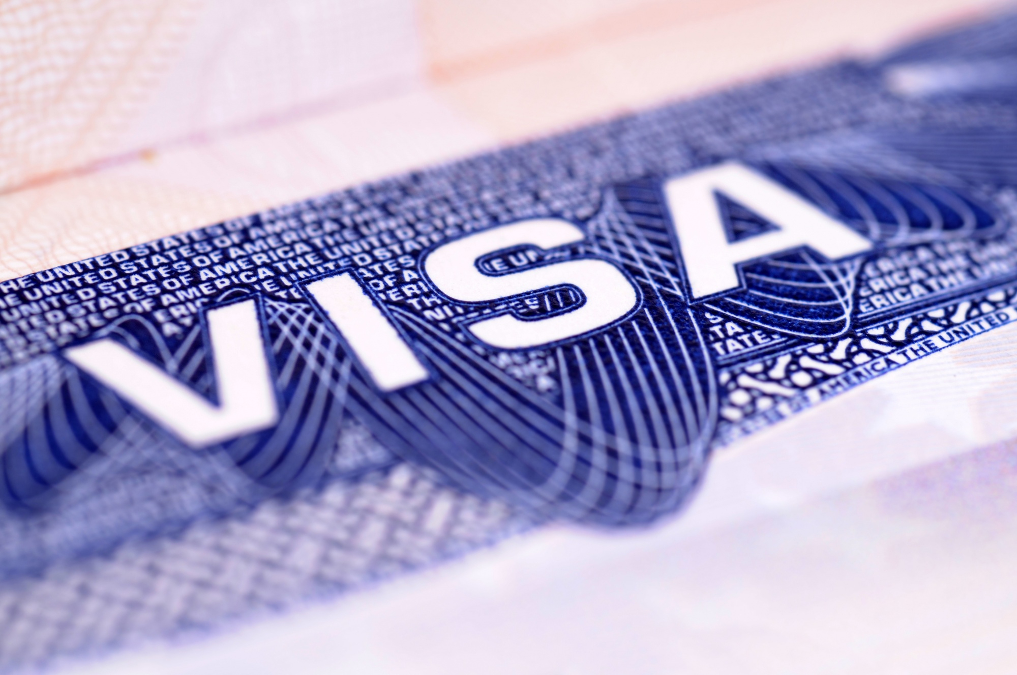 Dubai Visa Status